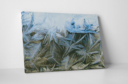 Natură - Tablou canvas : Flori de gheata