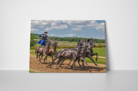 Tablou canvas : Husarul curajos [1]