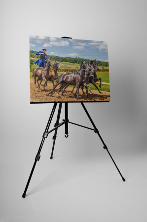 Tablou canvas : Husarul curajos [2]