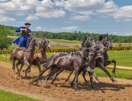 Tablou canvas : Husarul curajos [3]