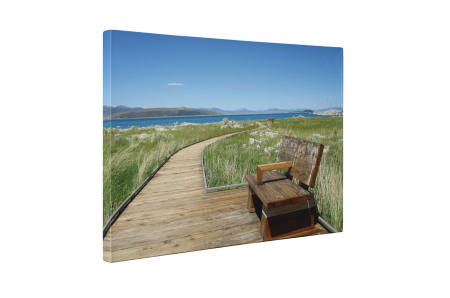 Tablou canvas : Zi de vara [4]