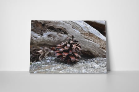 Tablou canvas : Conul singuratic [1]