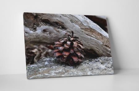 Natură - Tablou canvas : Conul singuratic