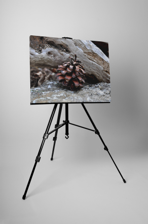 Tablou canvas : Conul singuratic [2]