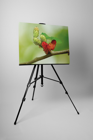 Tablou canvas : Dude [2]