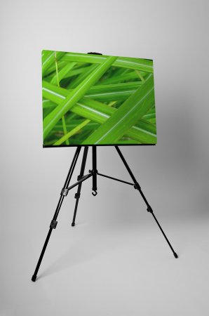 Tablou canvas : Frunze [2]