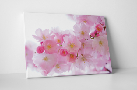 Tablouri Canvas - Tablou canvas : Flori roz