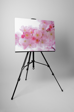 Tablou canvas : Flori roz [2]