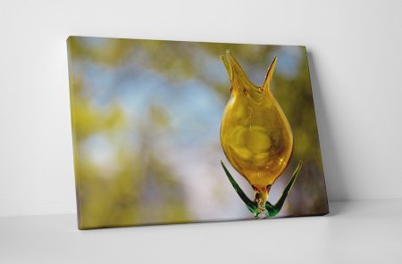 Tablouri Canvas - Tablou canvas : Sticla colorata