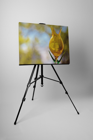 Tablou canvas : Sticla colorata [2]