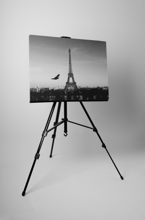 Tablou canvas : Turnul Eiffel in alb-negru [2]