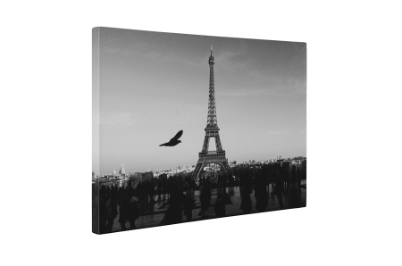 Tablou canvas : Turnul Eiffel in alb-negru [4]