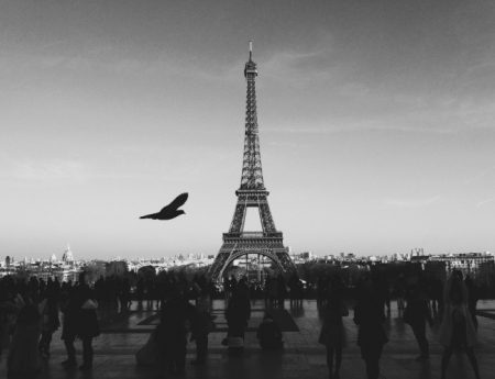 Tablou canvas : Turnul Eiffel in alb-negru [3]