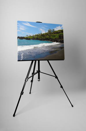 Tablou canvas : Plaja tropicala [2]
