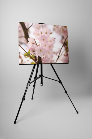 Tablou canvas : Piersic inflorit [2]