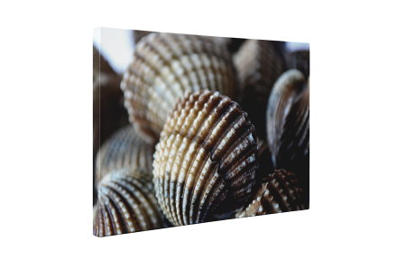 Tablou canvas : Scoici [4]