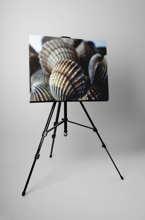 Tablou canvas : Scoici [2]