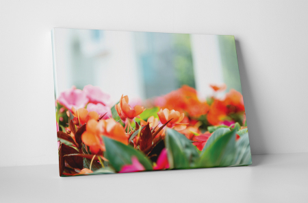 Tablouri Canvas - Tablou canvas : Floricele colorate
