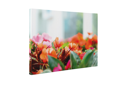 Tablou canvas : Floricele colorate [4]