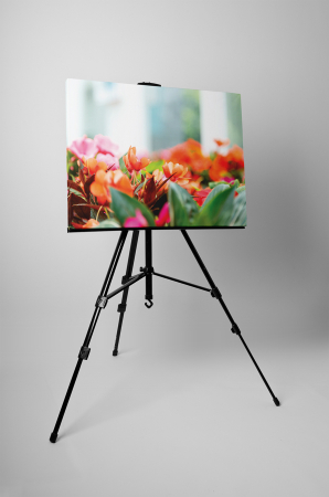 Tablou canvas : Floricele colorate [2]