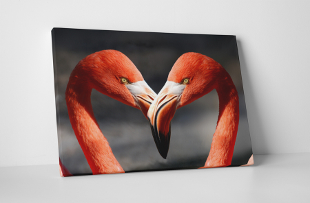 Animale - Tablou canvas : Pasari flamingo