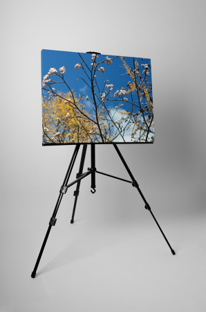 Tablou canvas : Tufis inflorit [2]