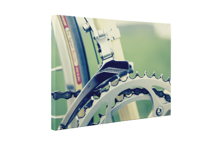 Tablou canvas : Sina lant bicicleta [4]