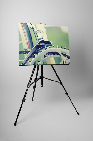 Tablou canvas : Sina lant bicicleta [2]