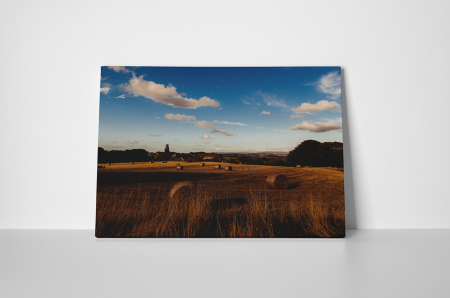 Tablou canvas : Stog de fan [1]