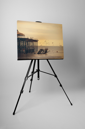Tablou canvas : Pasari [2]