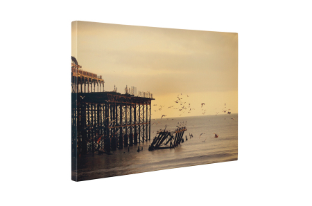 Tablou canvas : Pasari [4]