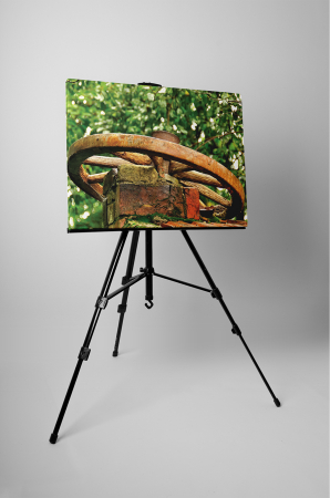 Tablou canvas : Roata de lemn [2]