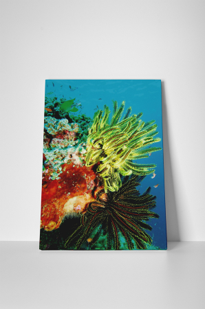 Tablou canvas : Viata acvatica [1]