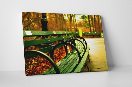 Tablouri Canvas - Tablou canvas : Odihna pe o banca