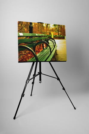 Tablou canvas : Odihna pe o banca [2]