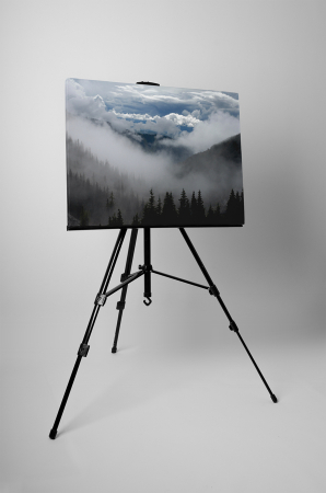 Tablou canvas : Peisaj innorat [2]