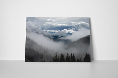 Tablou canvas : Peisaj innorat [1]