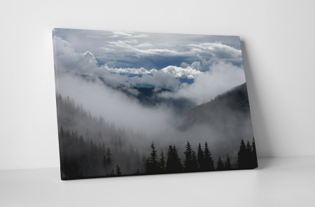 Peisaje - Tablou canvas : Peisaj innorat