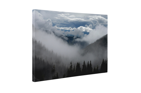 Tablou canvas : Peisaj innorat [4]