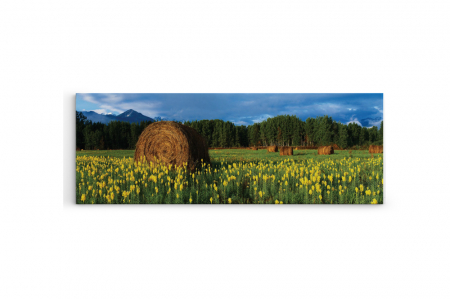Tablou canvas panoramic - Field [2]