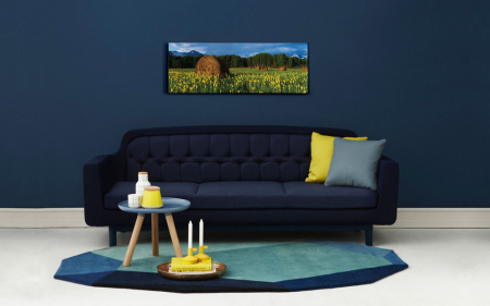 Tablou canvas panoramic - Field [1]
