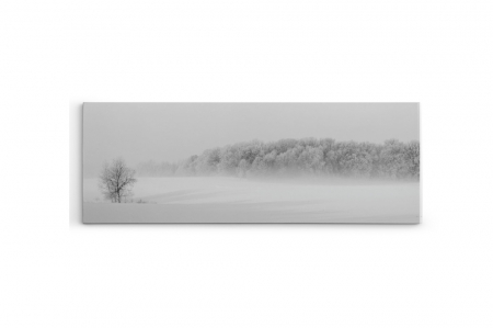 Tablou canvas panoramic - Winter forest [2]