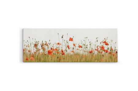 Tablou canvas panoramic - Poppies [2]