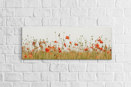 Panoramică - Tablou canvas panoramic - Poppies