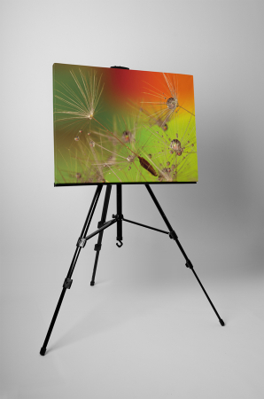 Tablou canvas : Sufla in papadie [2]