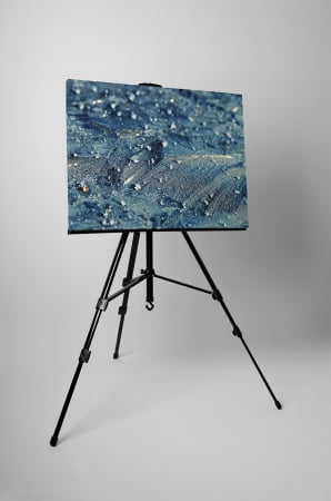 Tablou canvas : Totul este inghetat [2]