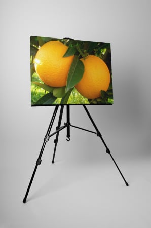 Tablou canvas : Portocale [2]