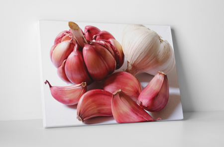 Gastronomie - Tablou canvas : Usturoi