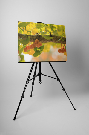 Tablou canvas : Fructe coapte [2]
