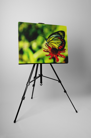 Tablou canvas : Gerbera rosie si fluturele [2]
